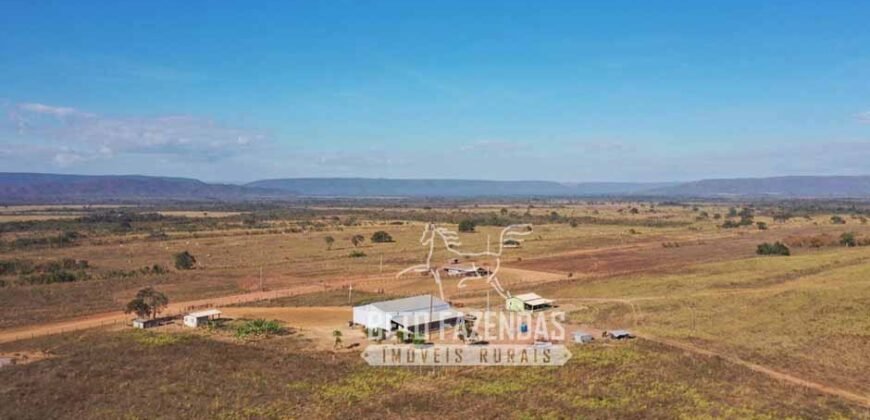Oportunidade Única para Investidores: Fazenda de Soja Produtiva à Venda 2.249 hectares | Nobres/ MT