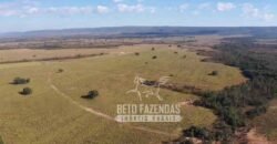 Oportunidade Única para Investidores: Fazenda de Soja Produtiva à Venda 2.249 hectares | Nobres/ MT
