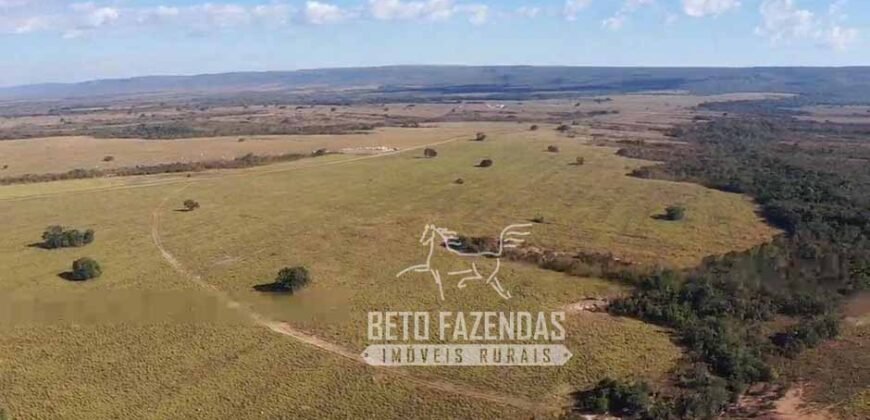 Oportunidade Única para Investidores: Fazenda de Soja Produtiva à Venda 2.249 hectares | Nobres/ MT