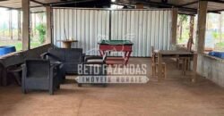 Oportunidade Única para Investidores: Fazenda de Soja Produtiva à Venda 2.249 hectares | Nobres/ MT