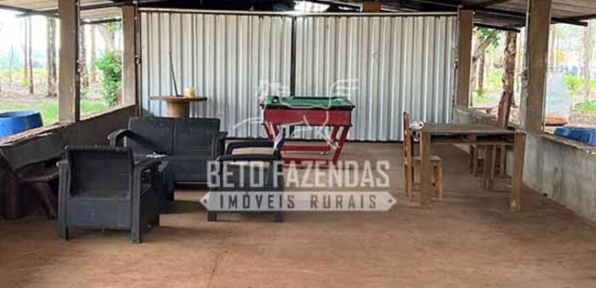 Oportunidade Única para Investidores: Fazenda de Soja Produtiva à Venda 2.249 hectares | Nobres/ MT