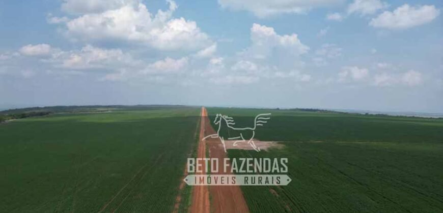 Oportunidade Única para Investidores: Fazenda de Soja Produtiva à Venda 2.249 hectares | Nobres/ MT