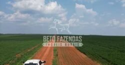 Oportunidade Única para Investidores: Fazenda de Soja Produtiva à Venda 2.249 hectares | Nobres/ MT