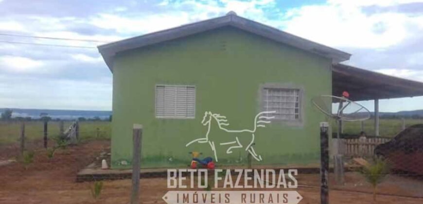 Oportunidade Única para Investidores: Fazenda de Soja Produtiva à Venda 2.249 hectares | Nobres/ MT