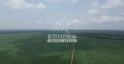 Oportunidade Única para Investidores: Fazenda de Soja Produtiva à Venda 2.249 hectares | Nobres/ MT