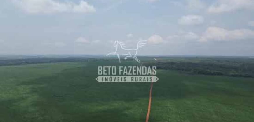 Oportunidade Única para Investidores: Fazenda de Soja Produtiva à Venda 2.249 hectares | Nobres/ MT