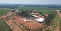 Oportunidade Única para Investidores: Fazenda de Soja Produtiva à Venda 2.249 hectares | Nobres/ MT