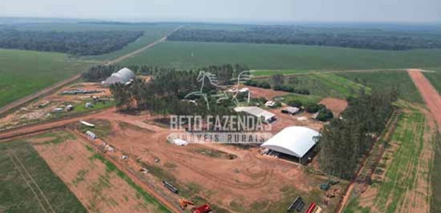 Oportunidade Única para Investidores: Fazenda de Soja Produtiva à Venda 2.249 hectares | Nobres/ MT