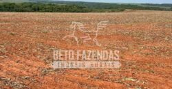 Oportunidade Única para Investidores: Fazenda de Soja Produtiva à Venda 2.249 hectares | Nobres/ MT
