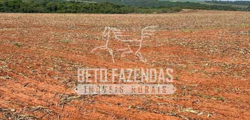 Oportunidade Única para Investidores: Fazenda de Soja Produtiva à Venda 2.249 hectares | Nobres/ MT