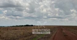 Oportunidade Única para Investidores: Fazenda de Soja Produtiva à Venda 2.249 hectares | Nobres/ MT
