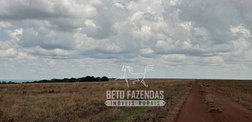 Oportunidade Única para Investidores: Fazenda de Soja Produtiva à Venda 2.249 hectares | Nobres/ MT