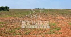 Oportunidade Única para Investidores: Fazenda de Soja Produtiva à Venda 2.249 hectares | Nobres/ MT