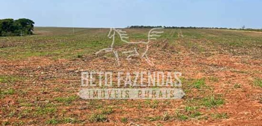 Oportunidade Única para Investidores: Fazenda de Soja Produtiva à Venda 2.249 hectares | Nobres/ MT