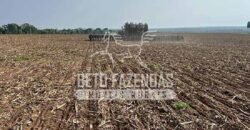 Oportunidade Única para Investidores: Fazenda de Soja Produtiva à Venda 2.249 hectares | Nobres/ MT