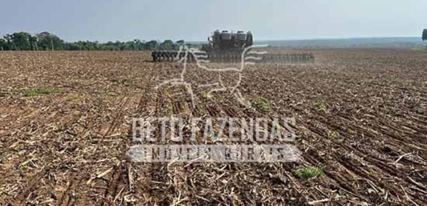 Oportunidade Única para Investidores: Fazenda de Soja Produtiva à Venda 2.249 hectares | Nobres/ MT