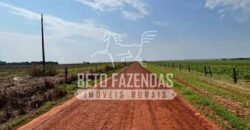 Oportunidade Única para Investidores: Fazenda de Soja Produtiva à Venda 2.249 hectares | Nobres/ MT