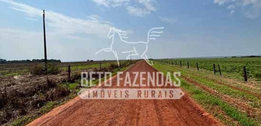 Oportunidade Única para Investidores: Fazenda de Soja Produtiva à Venda 2.249 hectares | Nobres/ MT
