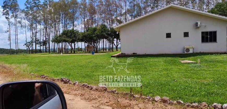 Oportunidade Única para Investidores: Fazenda de Soja Produtiva à Venda 2.249 hectares | Nobres/ MT