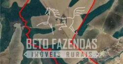 Oportunidade Única para Investidores: Fazenda de Soja Produtiva à Venda 2.249 hectares | Nobres/ MT