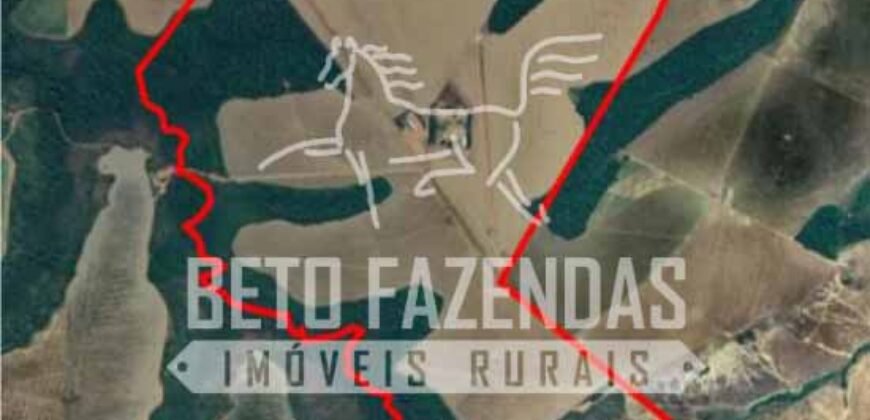 Oportunidade Única para Investidores: Fazenda de Soja Produtiva à Venda 2.249 hectares | Nobres/ MT