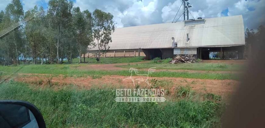 Oportunidade Única para Investidores: Fazenda de Soja Produtiva à Venda 2.249 hectares | Nobres/ MT