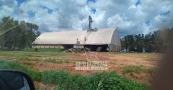 Oportunidade Única para Investidores: Fazenda de Soja Produtiva à Venda 2.249 hectares | Nobres/ MT