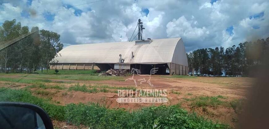 Oportunidade Única para Investidores: Fazenda de Soja Produtiva à Venda 2.249 hectares | Nobres/ MT