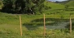 Fazenda Exclusiva 605 hectares | Cardoso Moreira/ RJ