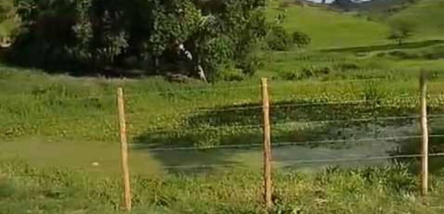 Fazenda Exclusiva 605 hectares | Cardoso Moreira/ RJ