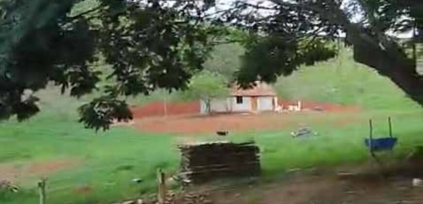 Fazenda Exclusiva 605 hectares | Cardoso Moreira/ RJ