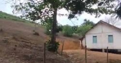 Fazenda Exclusiva 605 hectares | Cardoso Moreira/ RJ