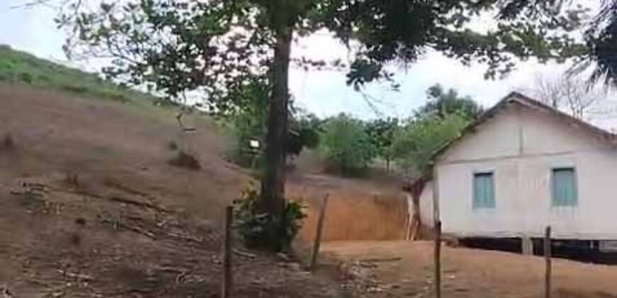 Fazenda Exclusiva 605 hectares | Cardoso Moreira/ RJ