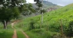 Fazenda Exclusiva 605 hectares | Cardoso Moreira/ RJ