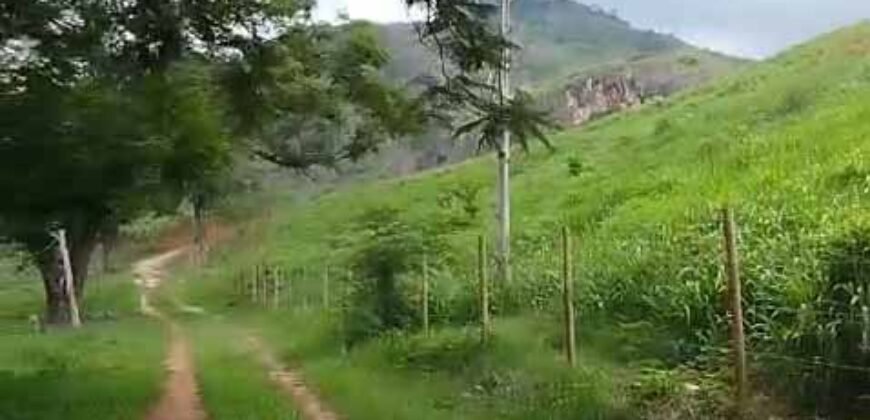 Fazenda Exclusiva 605 hectares | Cardoso Moreira/ RJ