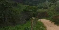 Fazenda Exclusiva 605 hectares | Cardoso Moreira/ RJ