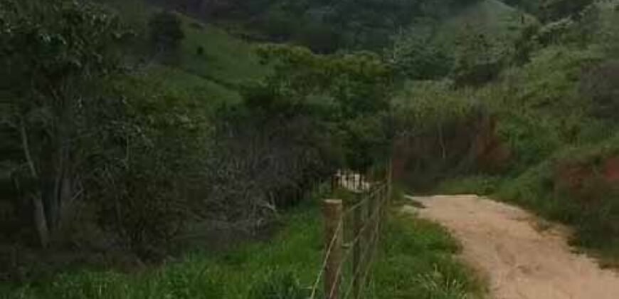 Fazenda Exclusiva 605 hectares | Cardoso Moreira/ RJ