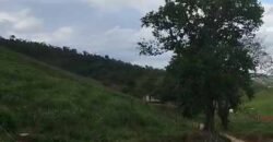 Fazenda Exclusiva 605 hectares | Cardoso Moreira/ RJ