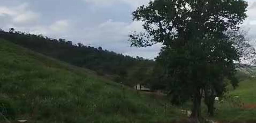 Fazenda Exclusiva 605 hectares | Cardoso Moreira/ RJ