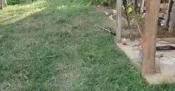 Fazenda Exclusiva 605 hectares | Cardoso Moreira/ RJ