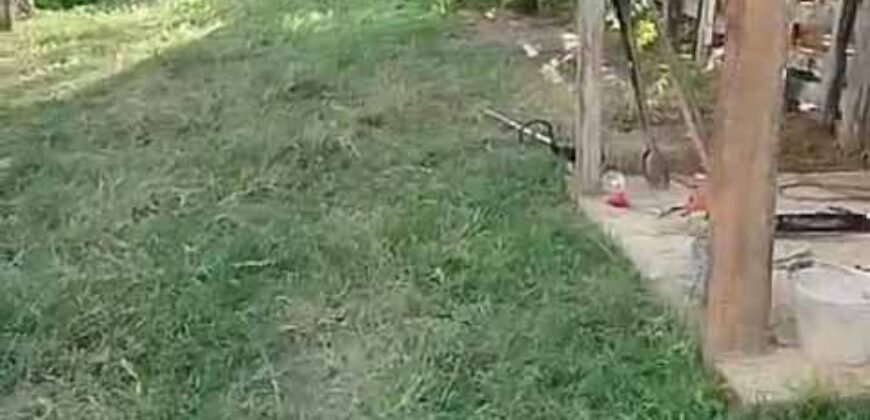 Fazenda Exclusiva 605 hectares | Cardoso Moreira/ RJ