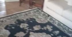 Fazenda Centenária Exclusiva à Venda 282,50 has Investimento no Turismo | São João Del Rei/ MG Fazenda Centenária Exclusiva à Venda 282,50 has Investimento no Turismo | São João Del Rei/ MG