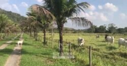 Fazenda Produtiva 19 Alqueires Dupla Aptidão Diversificação de Renda | Silva Jardim/ RJ