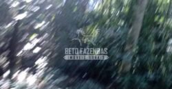 Fazenda de Café à Venda 116 Hectares Oportunidade Única para Investidores | Alfenas/ MG