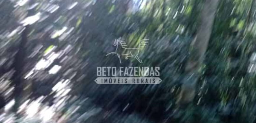 Fazenda de Café à Venda 116 Hectares Oportunidade Única para Investidores | Alfenas/ MG