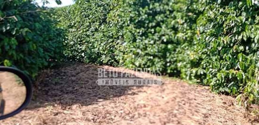 Fazenda de Café à Venda 116 Hectares Oportunidade Única para Investidores | Alfenas/ MG