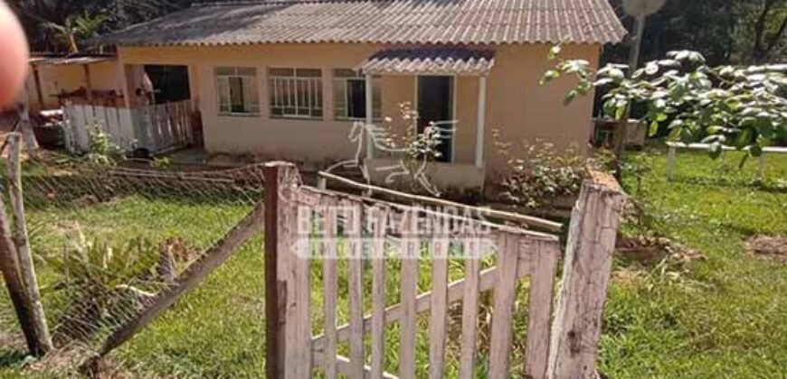 Fazenda de Café à Venda 116 Hectares Oportunidade Única para Investidores | Alfenas/ MG