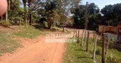 Fazenda de Café à Venda 116 Hectares Oportunidade Única para Investidores | Alfenas/ MG