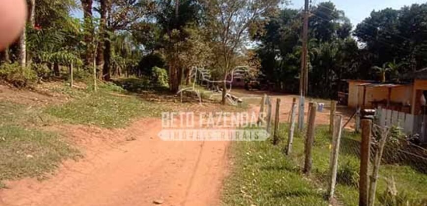 Fazenda de Café à Venda 116 Hectares Oportunidade Única para Investidores | Alfenas/ MG