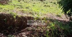 Fazenda de Café à Venda 116 Hectares Oportunidade Única para Investidores | Alfenas/ MG